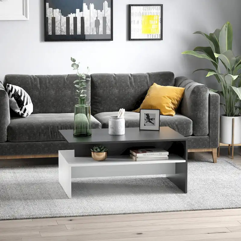 2-Tier Rectangular Coffee Table with Storage Shelves for Living Room, Black/White